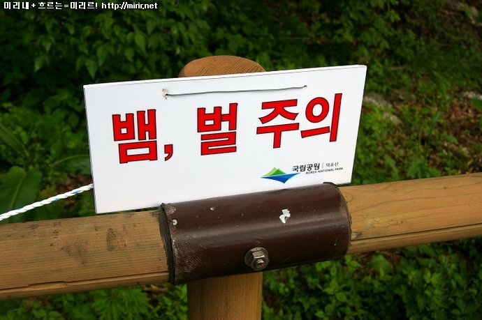 뱀, 벌 주의
