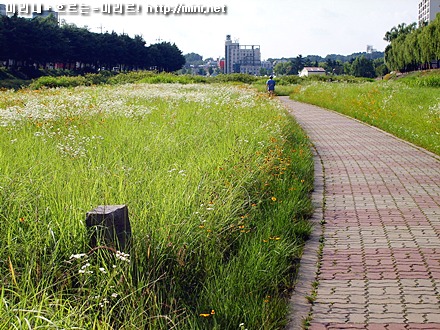 전주천 사진