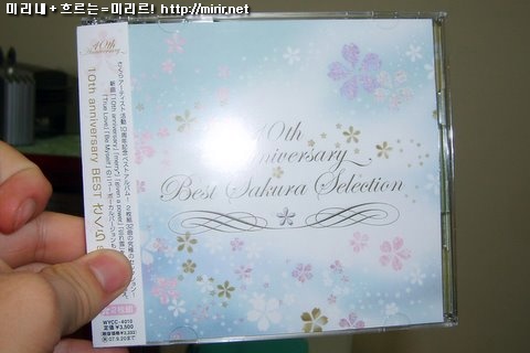10th Anniversary BEST / さくらselection 앨범 사진