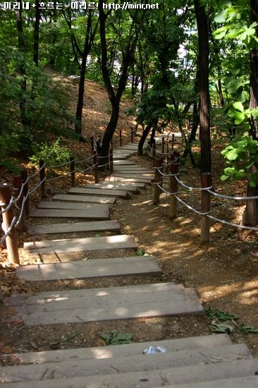 사용자 삽입 이미지