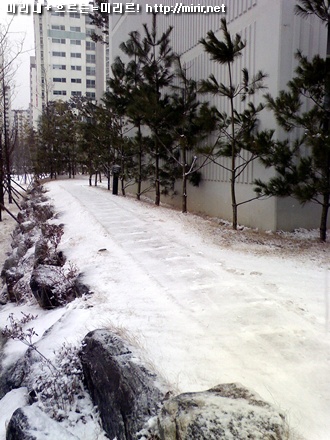 전주 호성진흥더블파크 생태공원 길