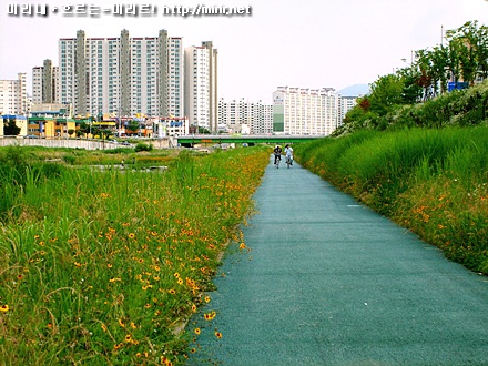 삼천 천변 도로