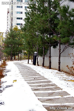 아파트 옆 산책길