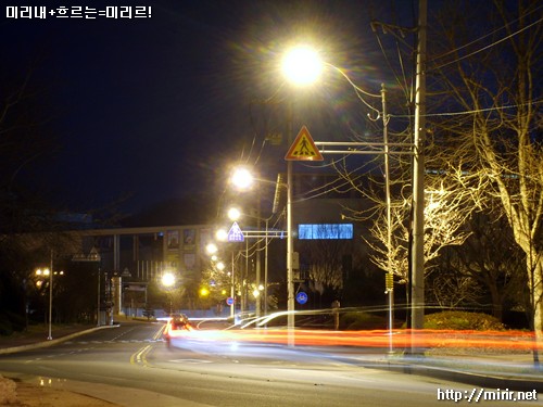동물원 가는 길