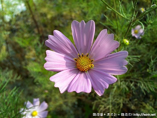 사용자 삽입 이미지